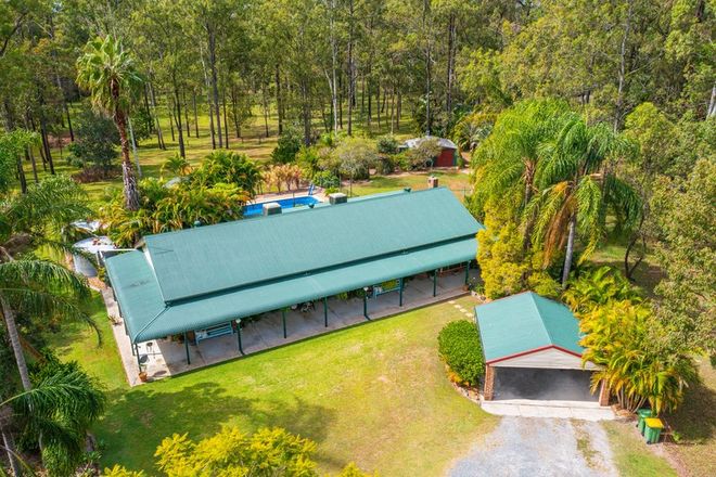 Picture of 93 Five Oak Green Court, SOUTH MACLEAN QLD 4280