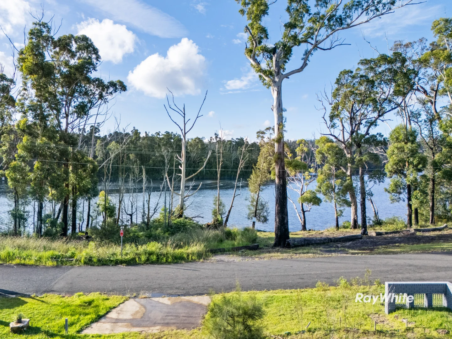 Image 19