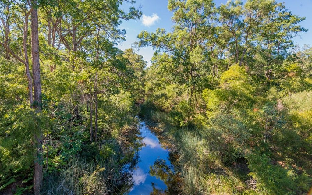 768 Coaldale Road, Fortis Creek NSW 2460, Image 1