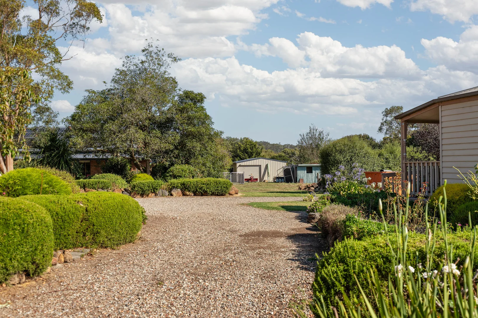 Image 25