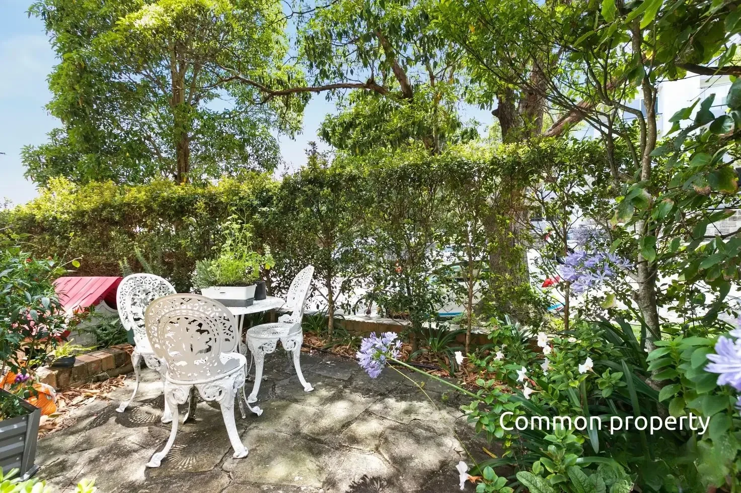 Additional image 6 of 10/84a Darley Road, Manly NSW 2095