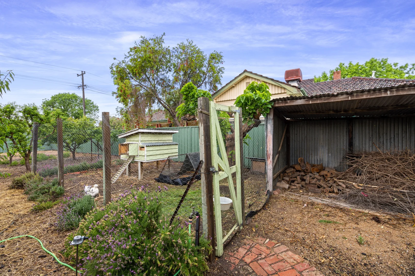 Image 18