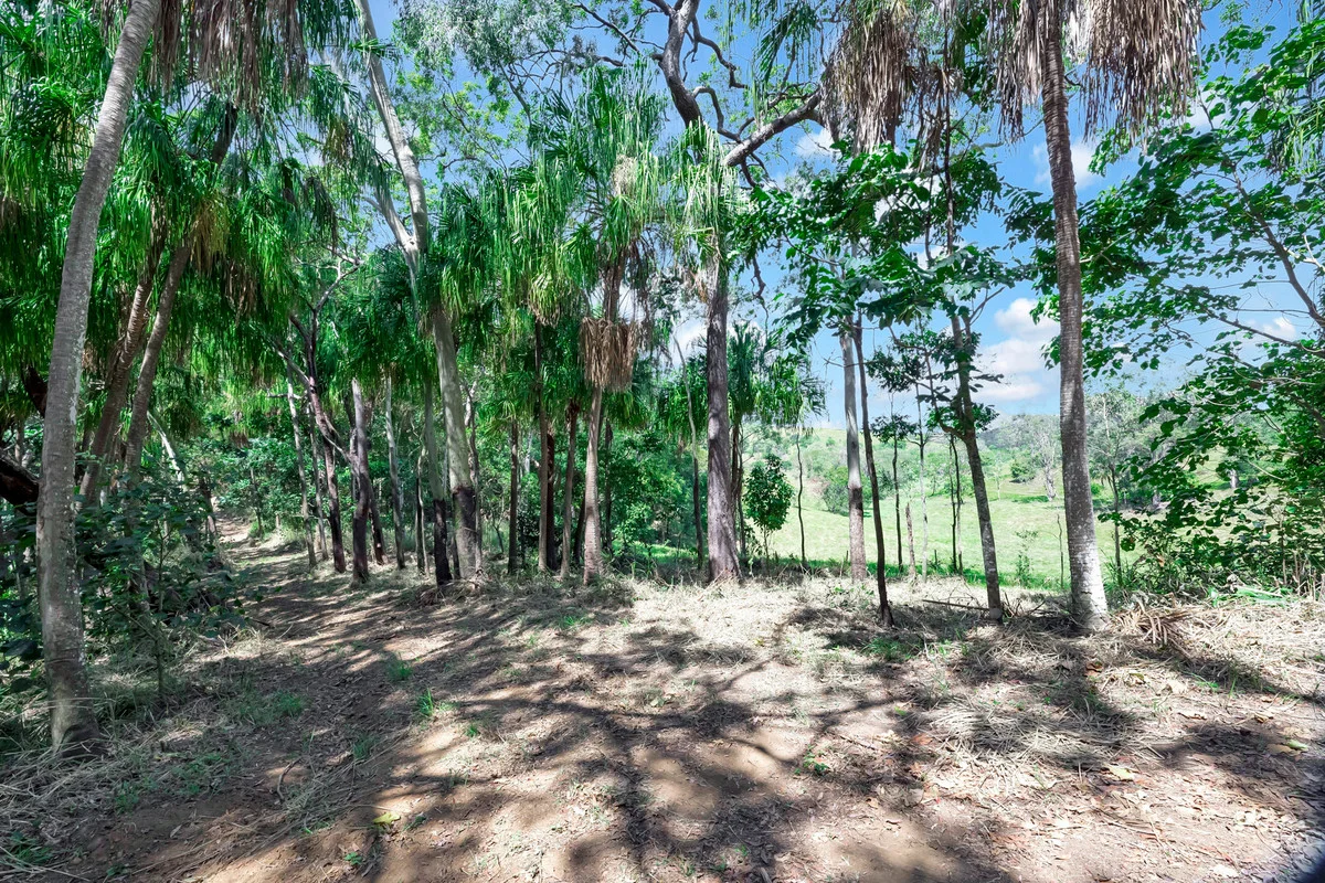 Image 14