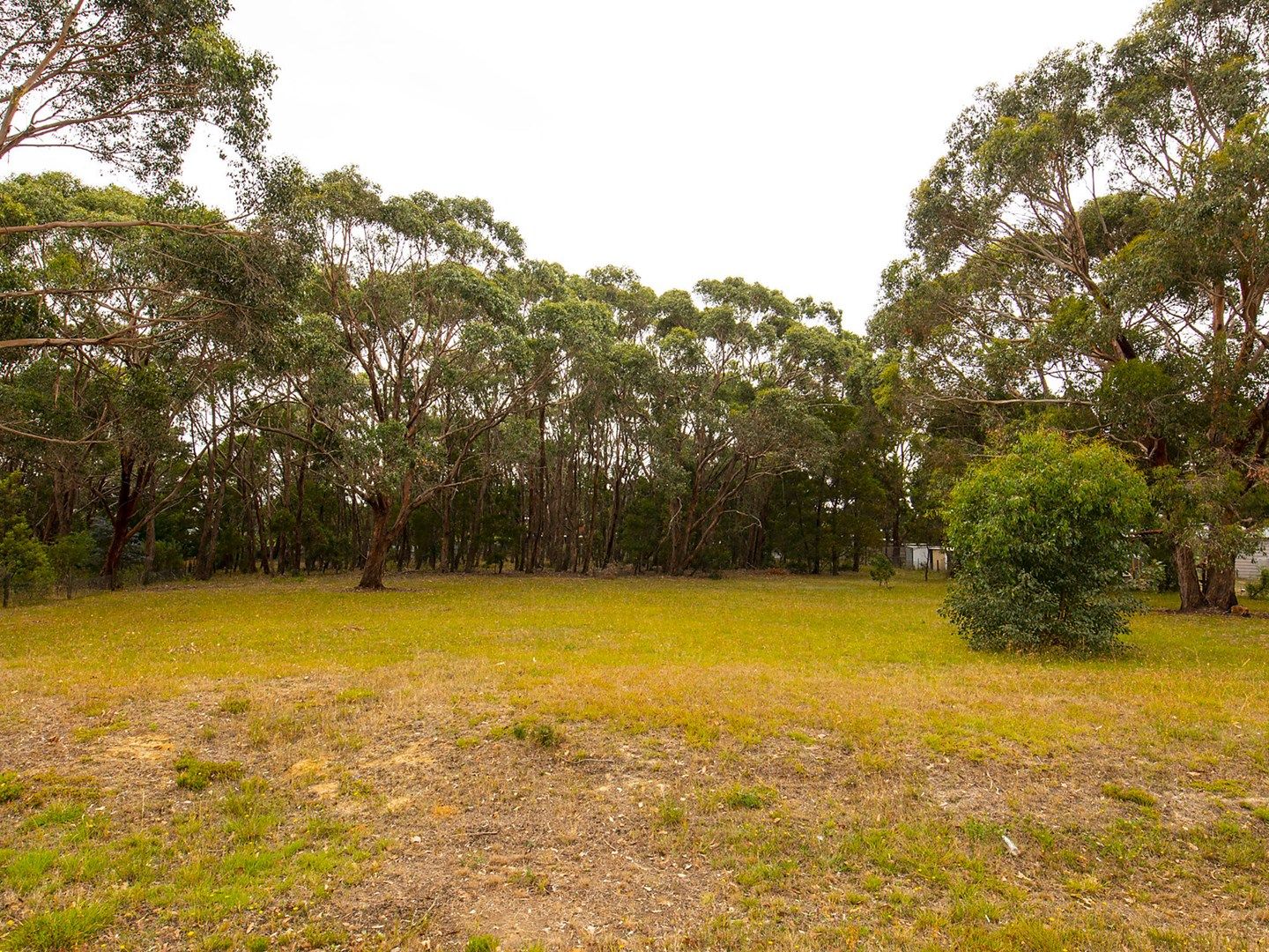 Lot 57 Briardale Avenue, Enfield VIC 3352, Image 1