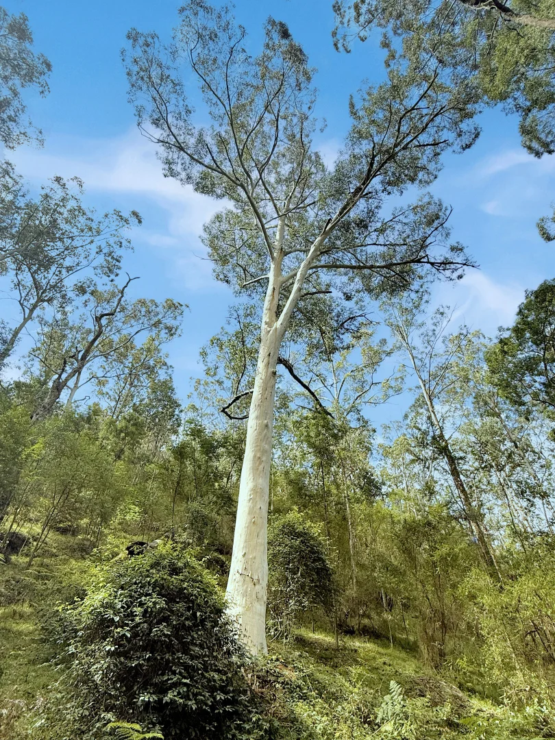 Image 18