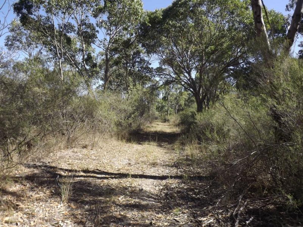 1851 The Pocket Road, Pindaroi NSW 2361, Image 2