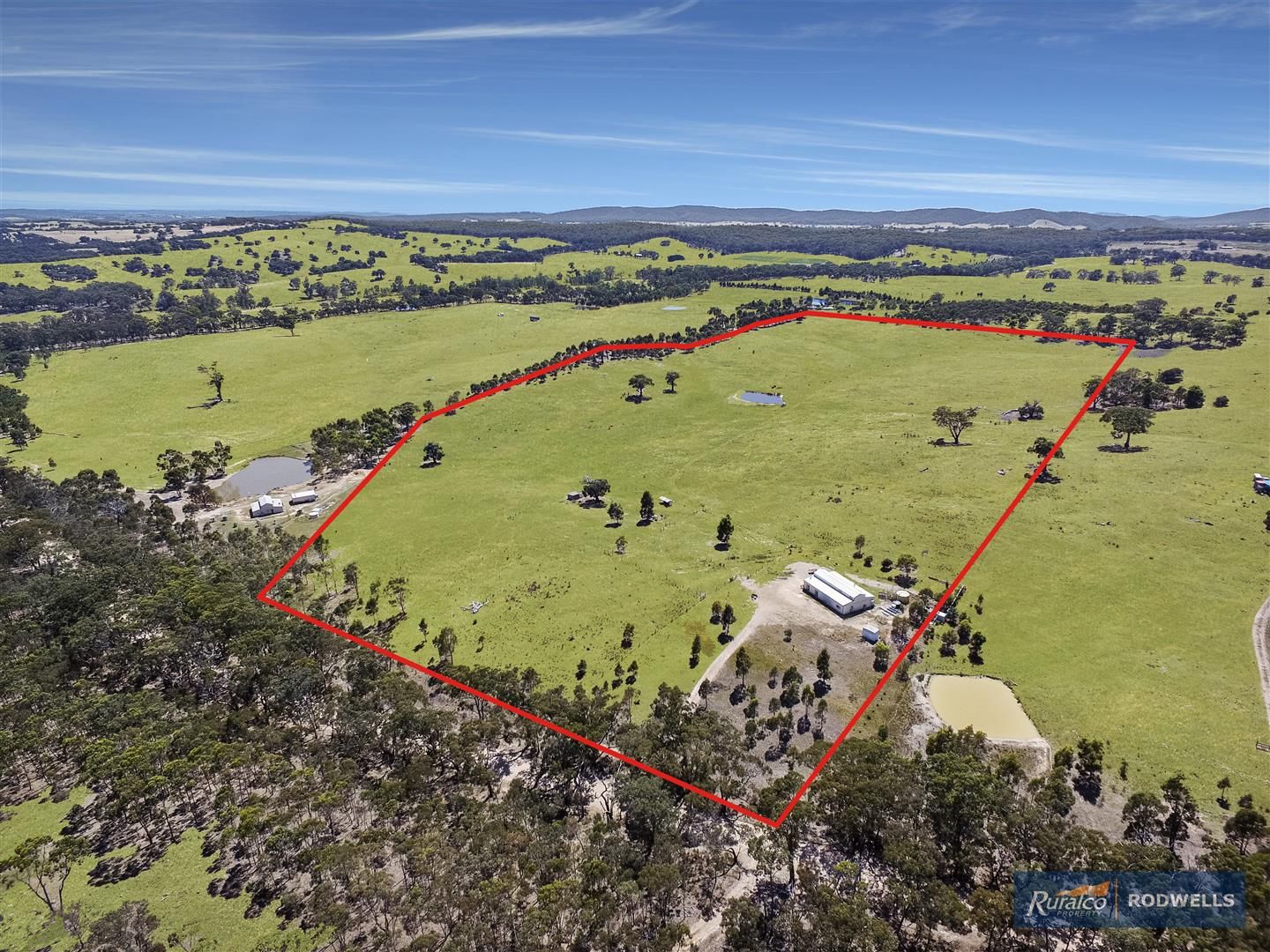 1035 Dairy Flat Road, Tooborac VIC 3522, Image 0