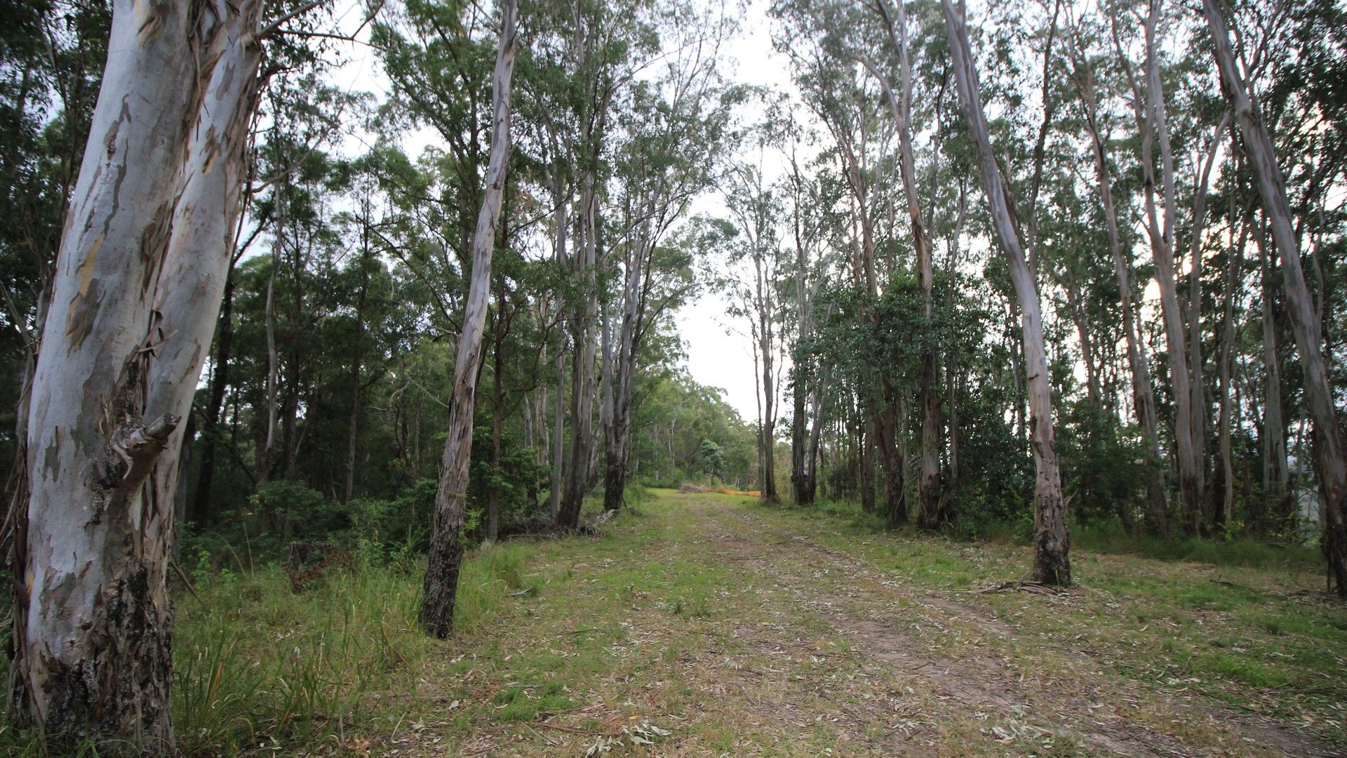 Rural in Lot 178 The Old Coach Rd, LORNE NSW, 2439