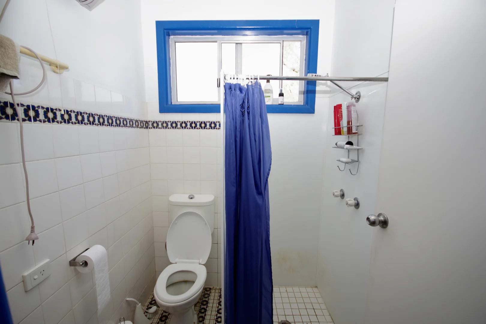 Image 19