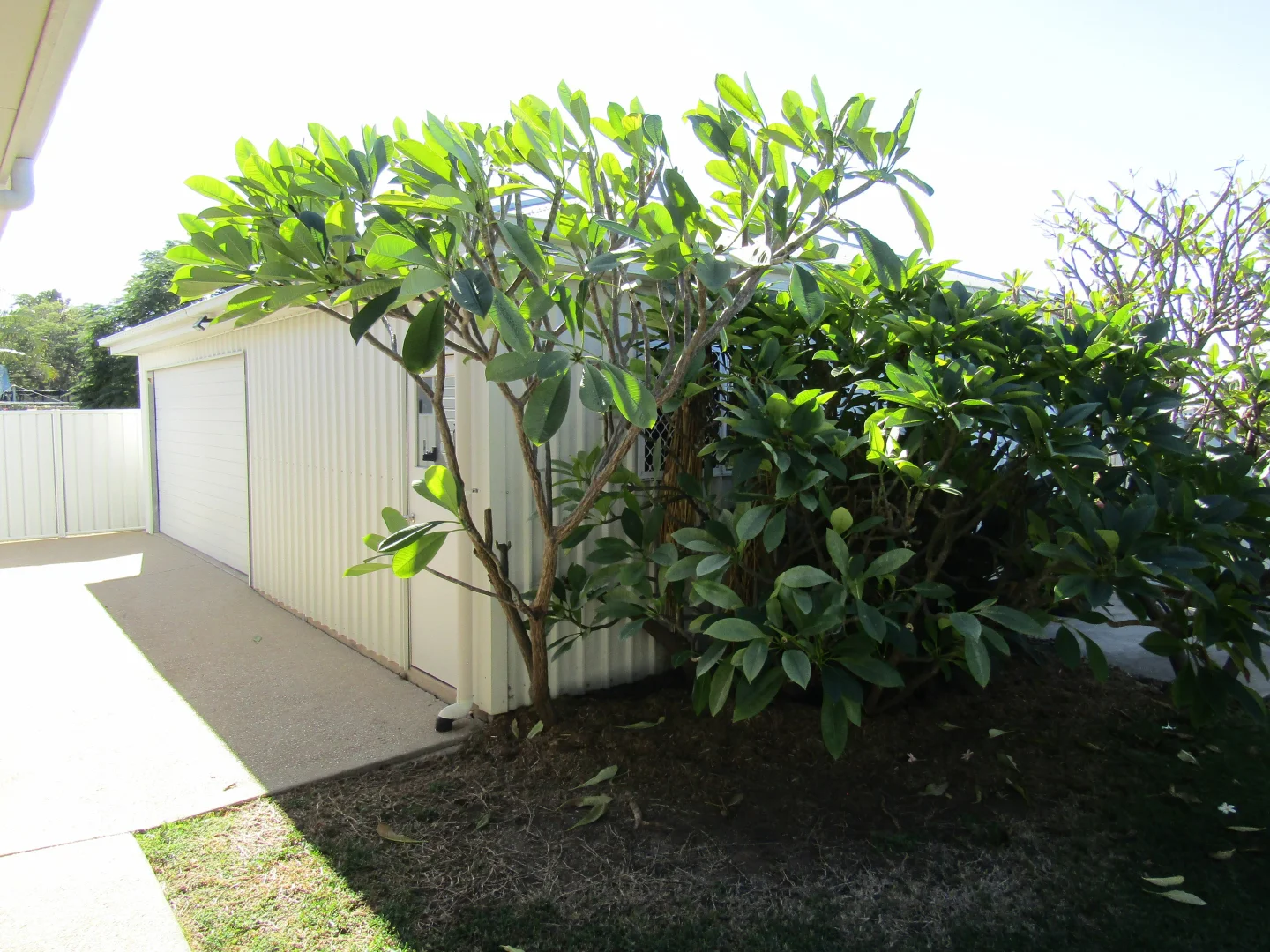 Image 28