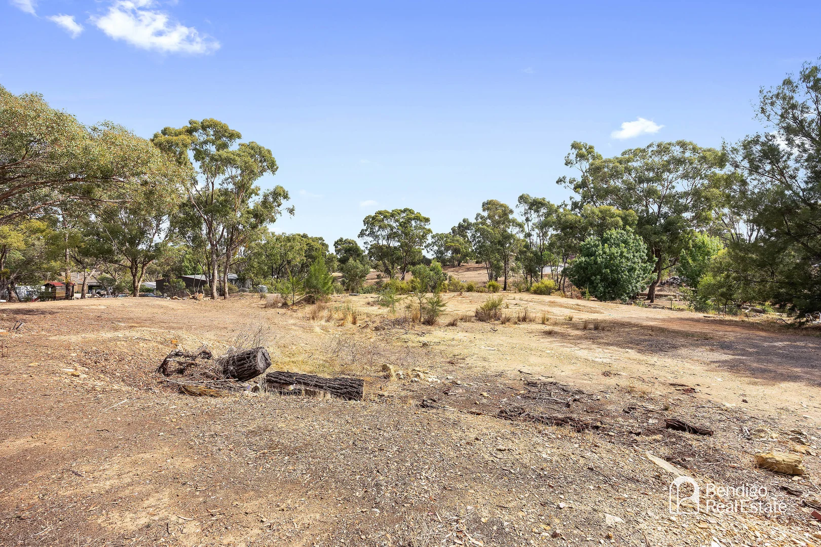 Image 15