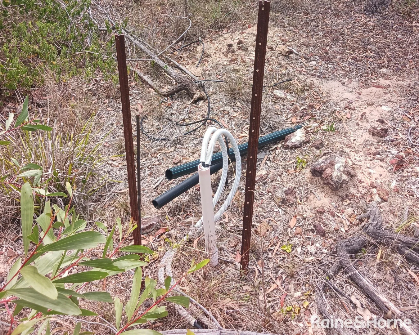 Additional image 16 of Lot 2 Barrs Road, Bucca QLD 4670