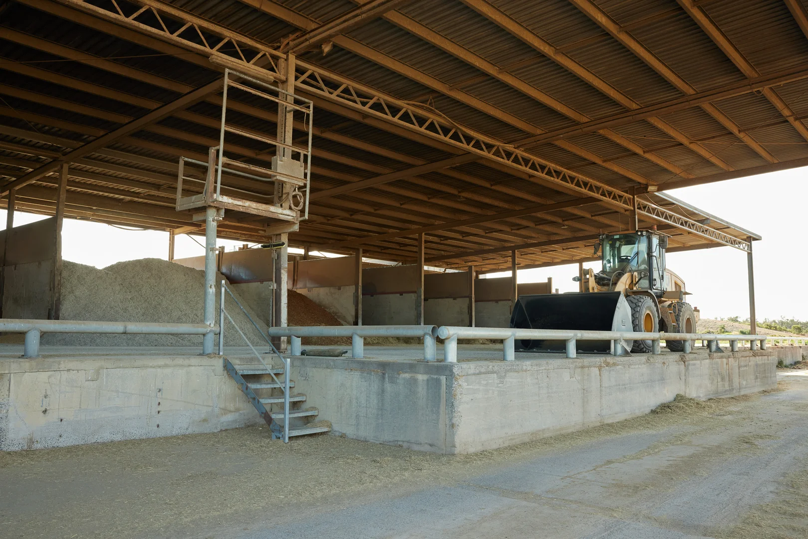 Image 15