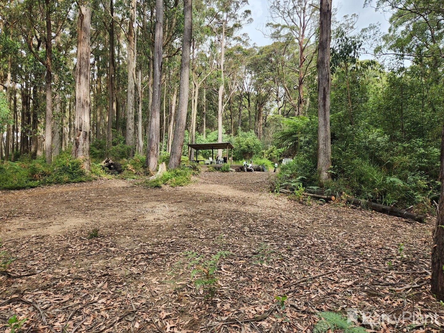 1650 East Beenak Road, Beenak VIC 3139, Image 0