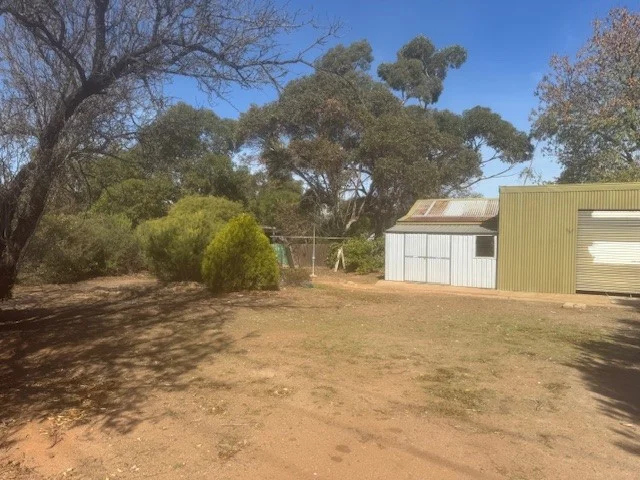 Image 12