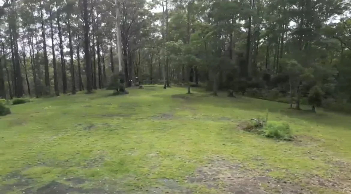 Additional image 12 of 1806 Gold Coast Springbrook Road, Springbrook QLD 4213