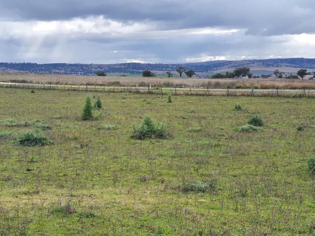 Lot32,6201 Scone Road, Merriwa NSW 2329 Vacant Land for Sale