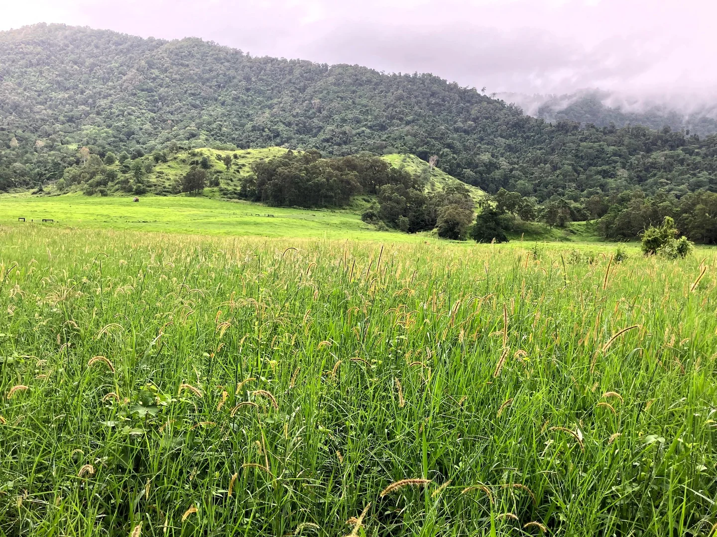 Additional image 6 of Gorge Road, Finch Hatton QLD 4756