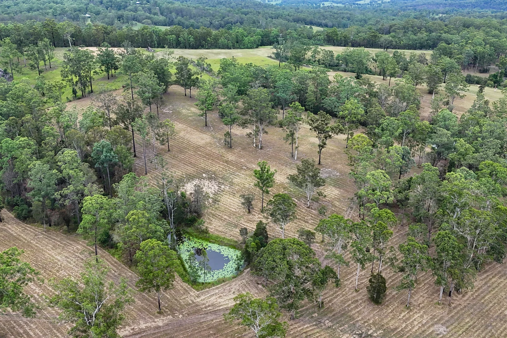 Additional image 21 of 12 Wilsons Lane, Hickeys Creek NSW 2440