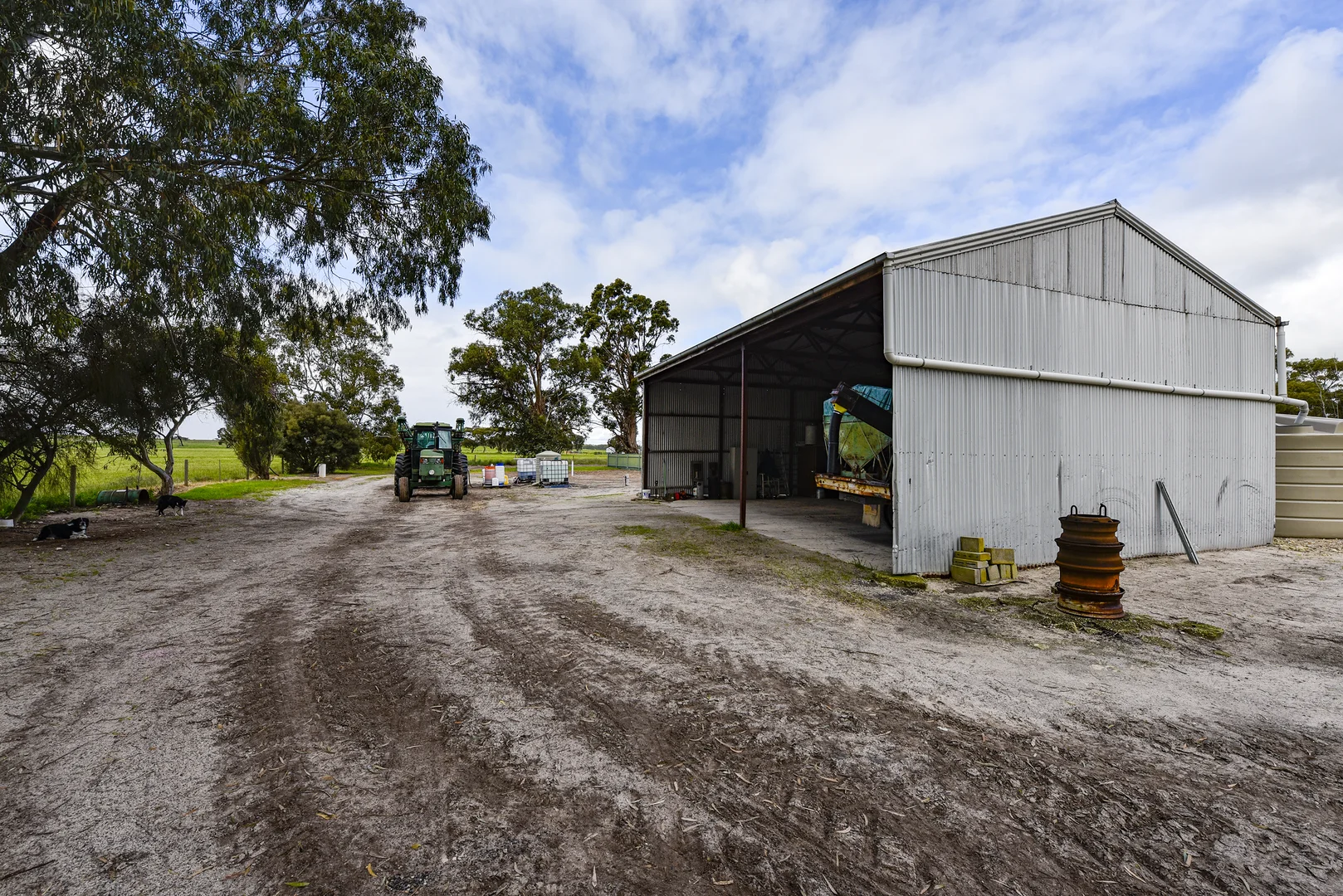 Image 11