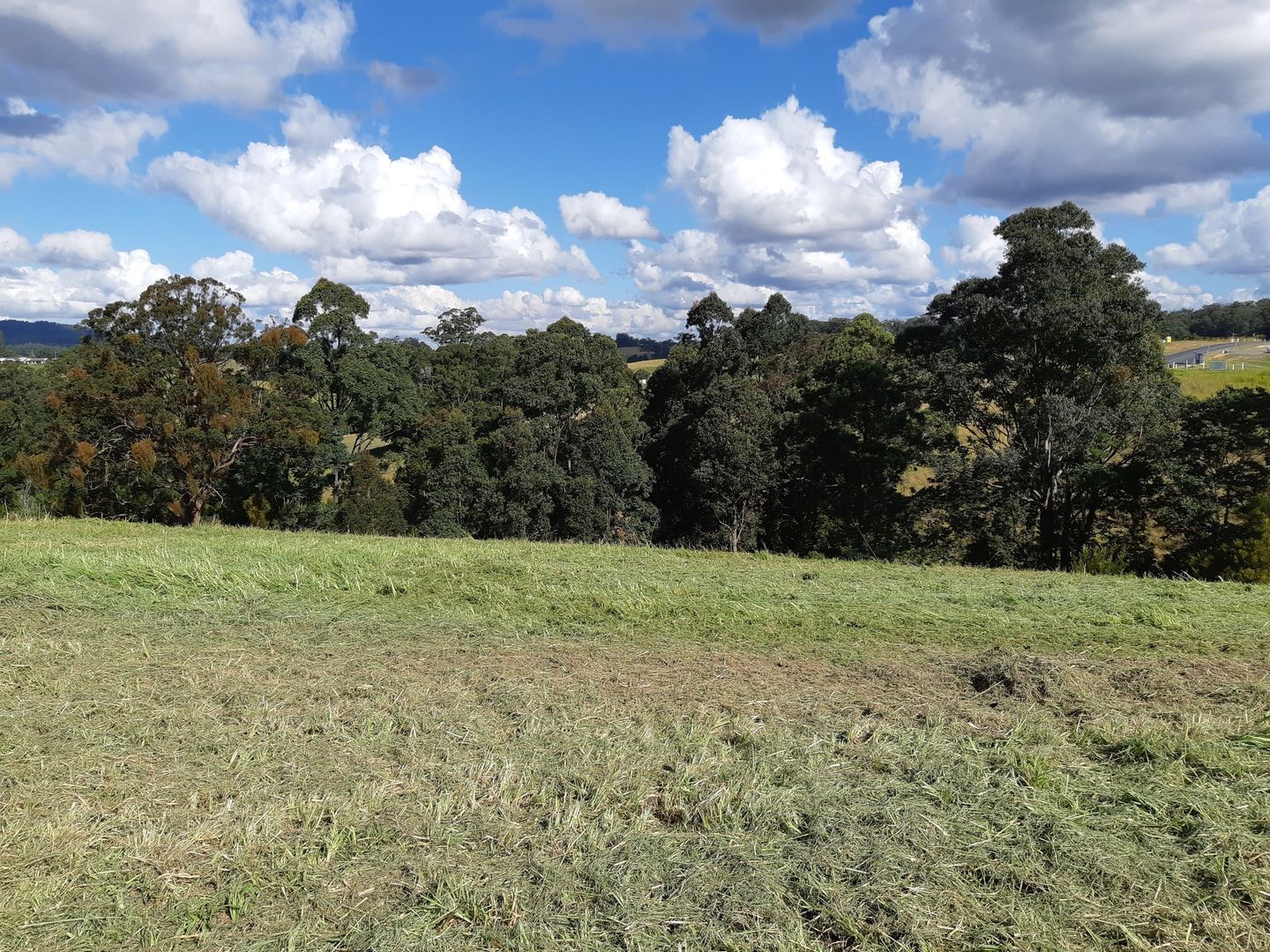 Lot 9 Strawberry Road, Congarinni NSW 2447, Image 1