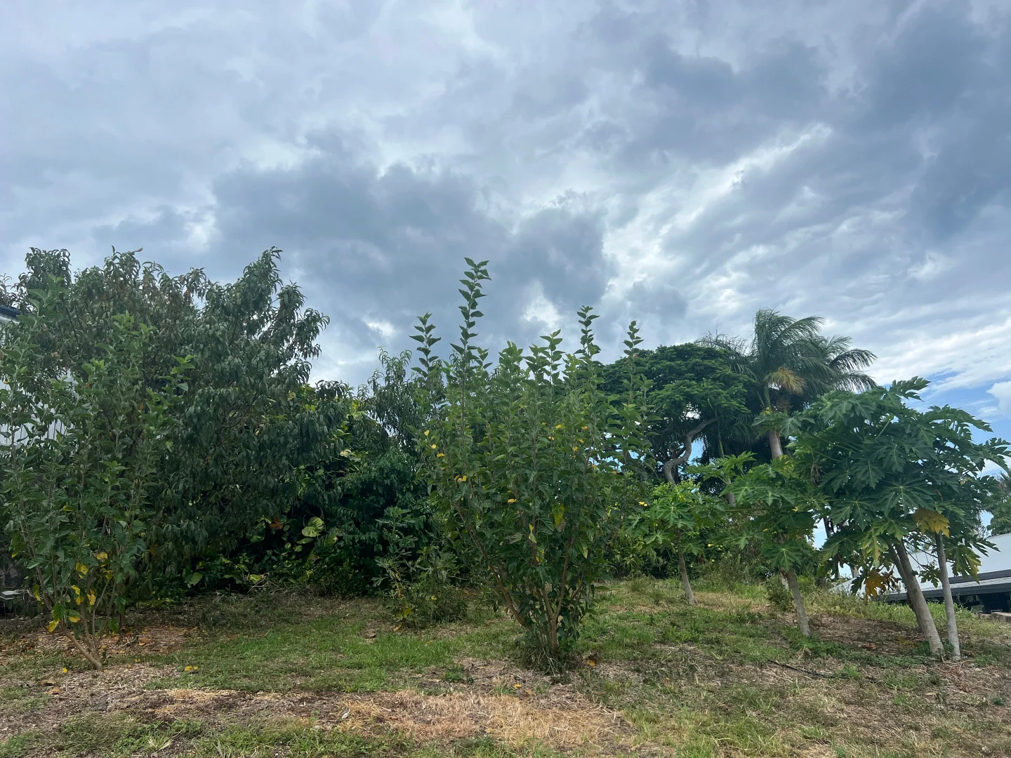 Additional image 9 of 191A Nambour Mapleton Road, Burnside QLD 4560