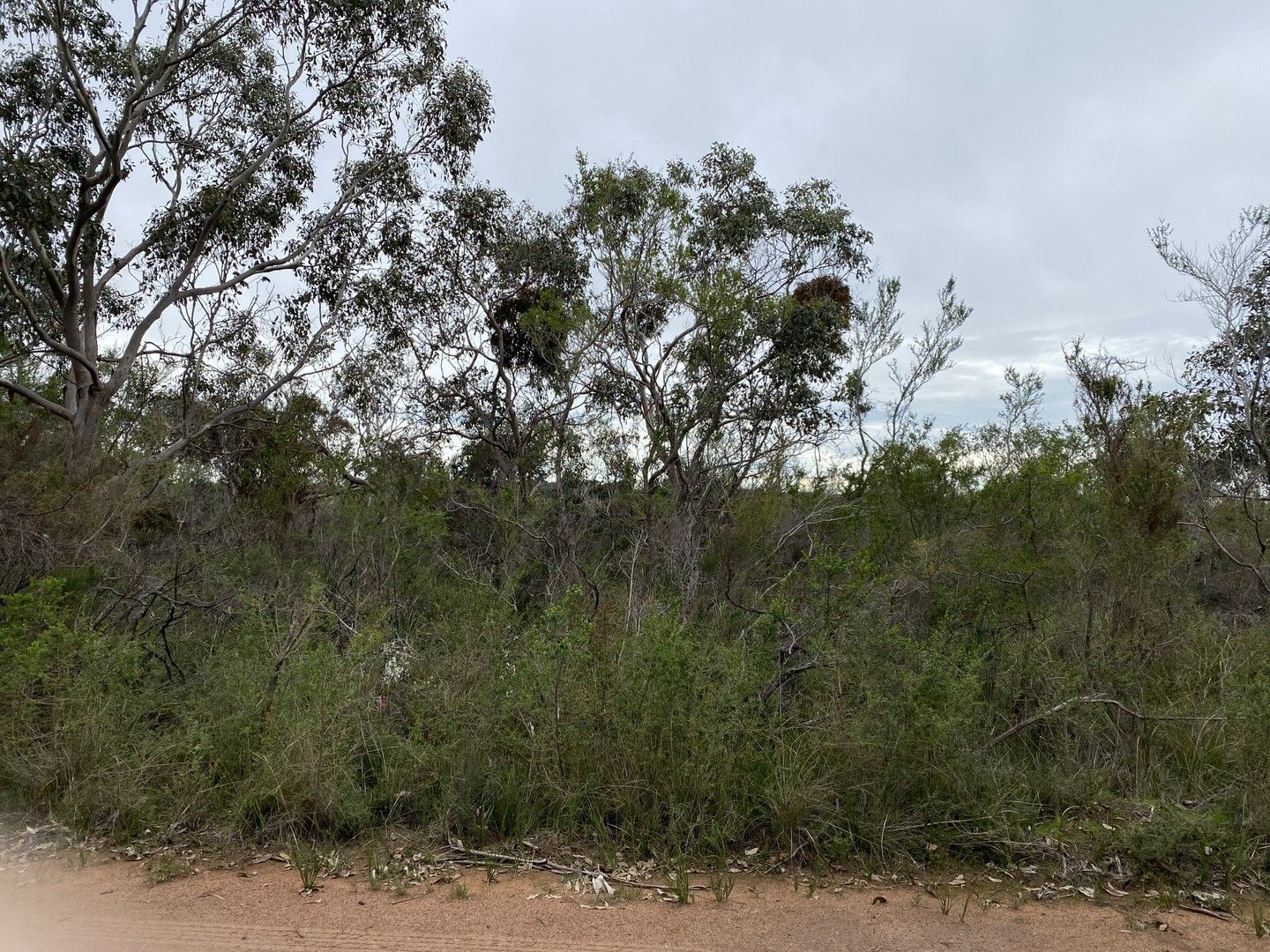 Various Lots Tankerton Estate, French Island VIC 3921 | Domain 
