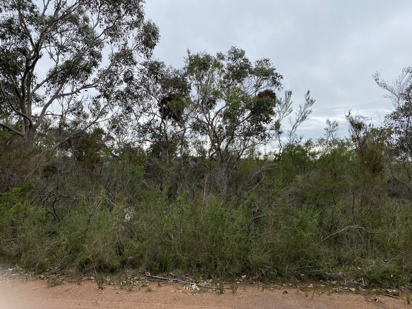 Various Lots Tankerton Estate, French Island VIC 3921, Image 0