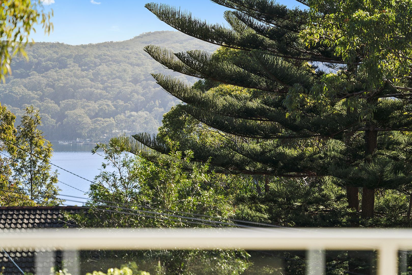 316 Lower Plateau Road, Bilgola Plateau NSW 2107, Image 2