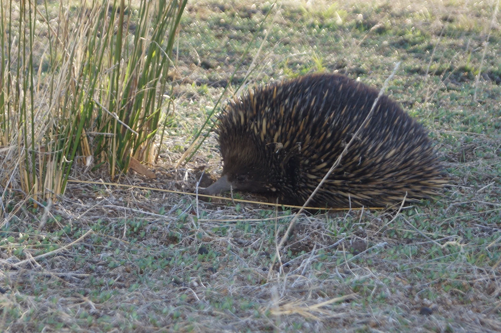 Additional image 25 of 880 Lima East Road, Lima East VIC 3673