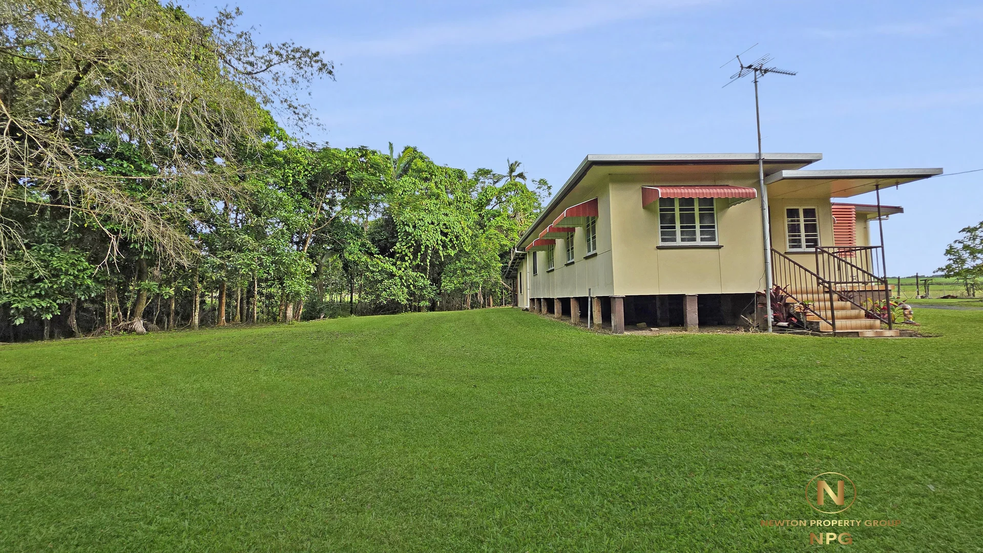 Image 25