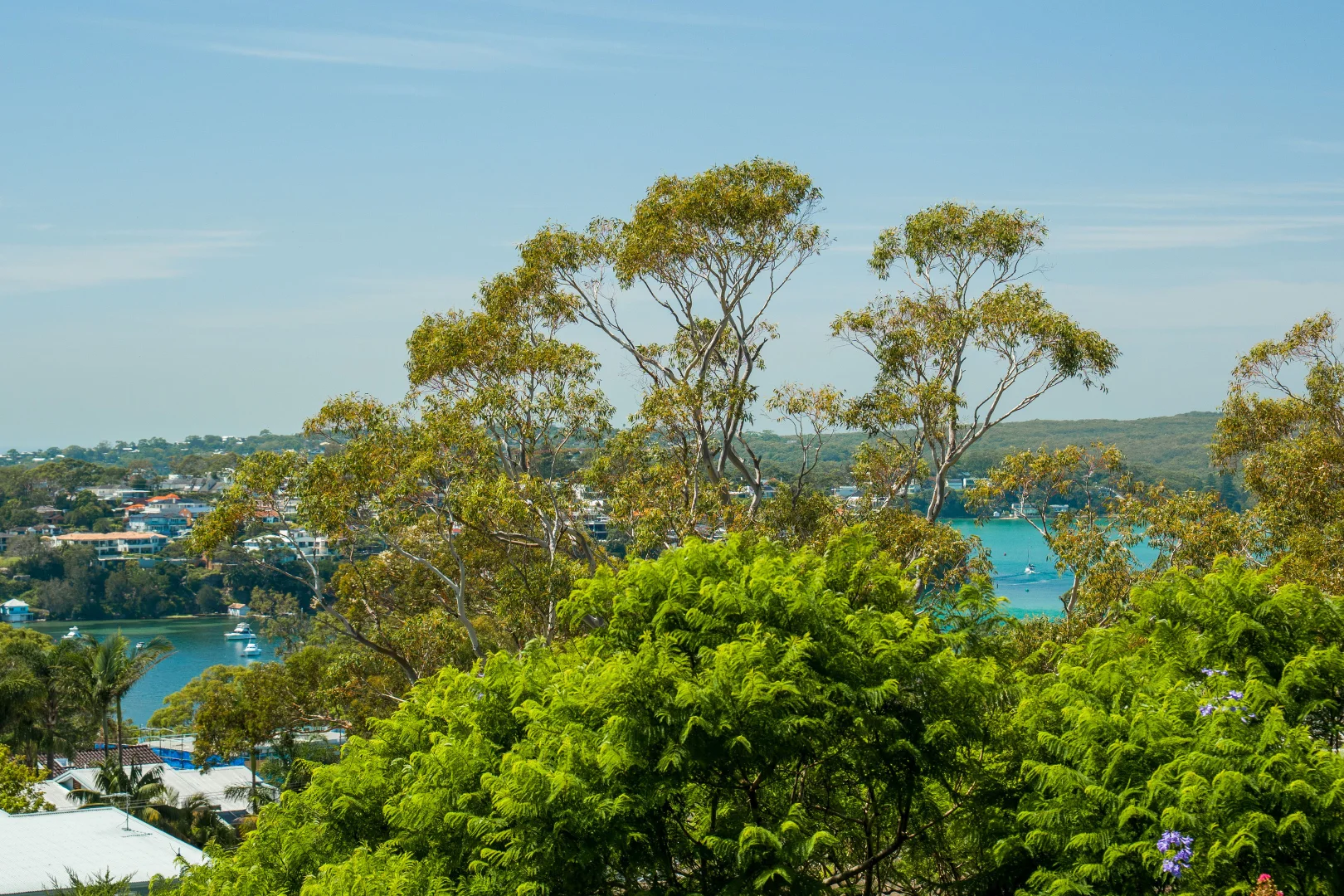 Additional image 20 of 6 Percival Road, Caringbah South NSW 2229