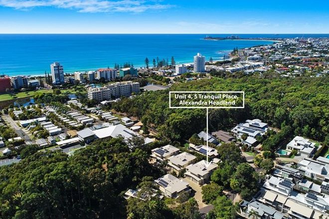 138 Rental Properties In Alexandra Headland Qld 4572 Domain