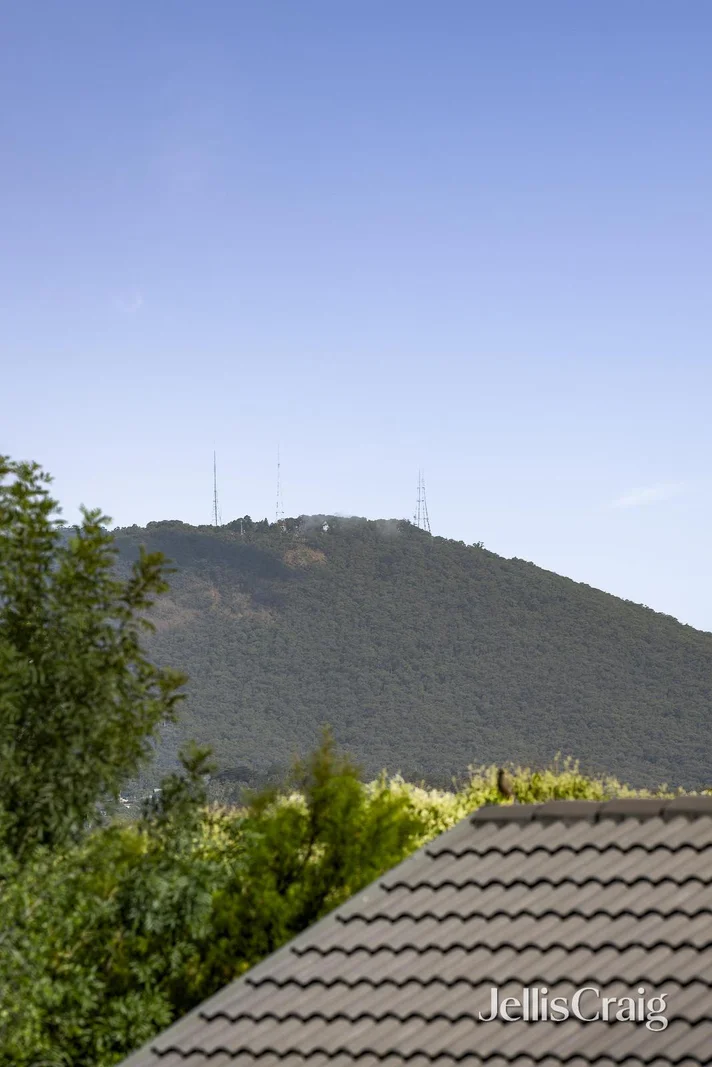Image 14