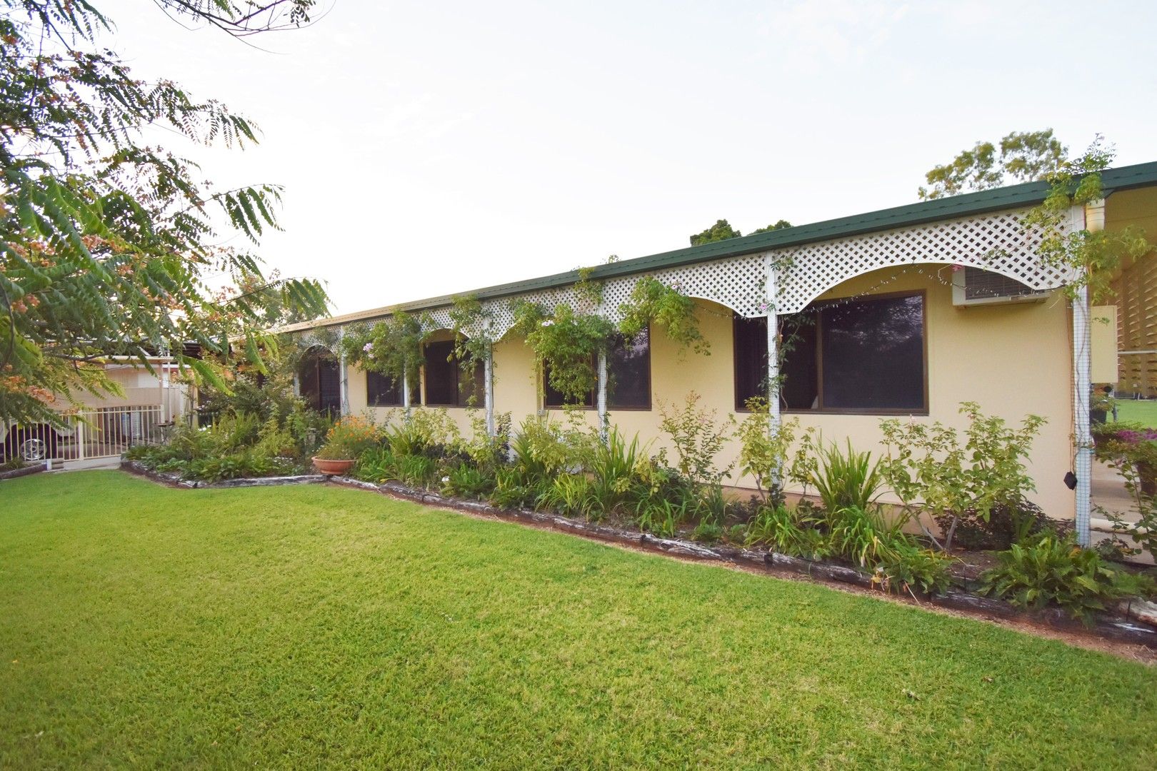 98 Yew Street, Barcaldine QLD 4725, Image 0