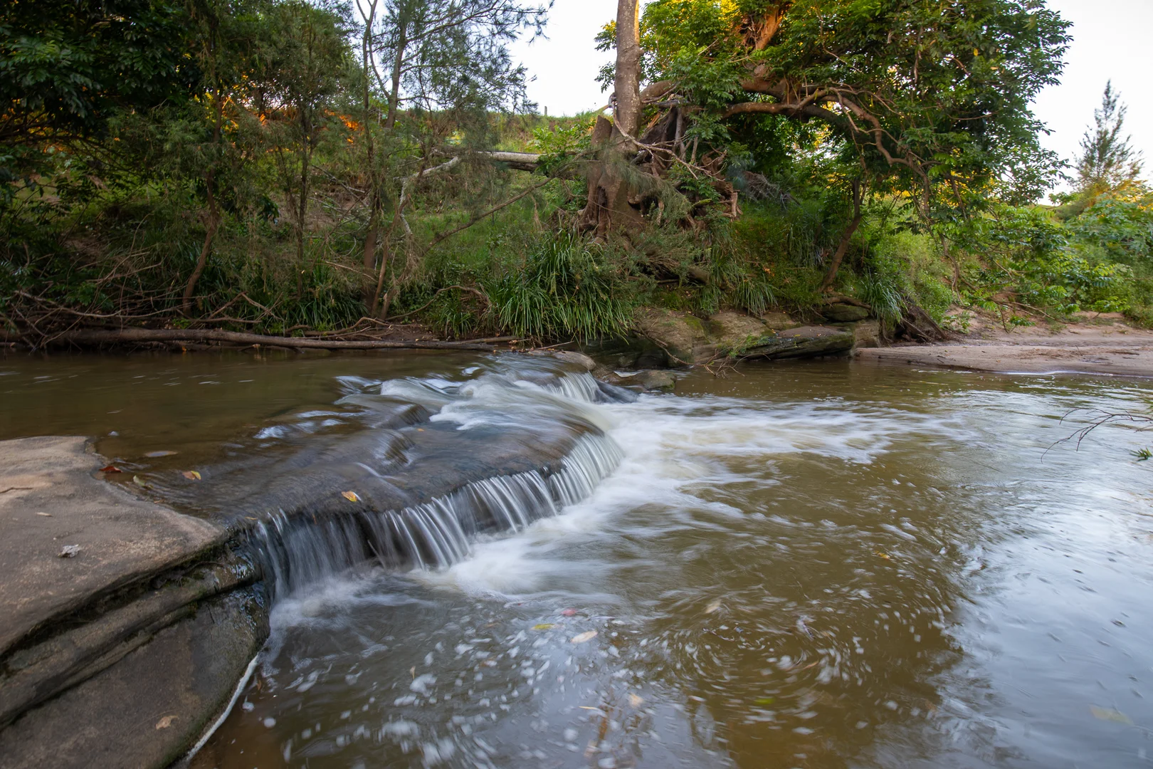 Image 6