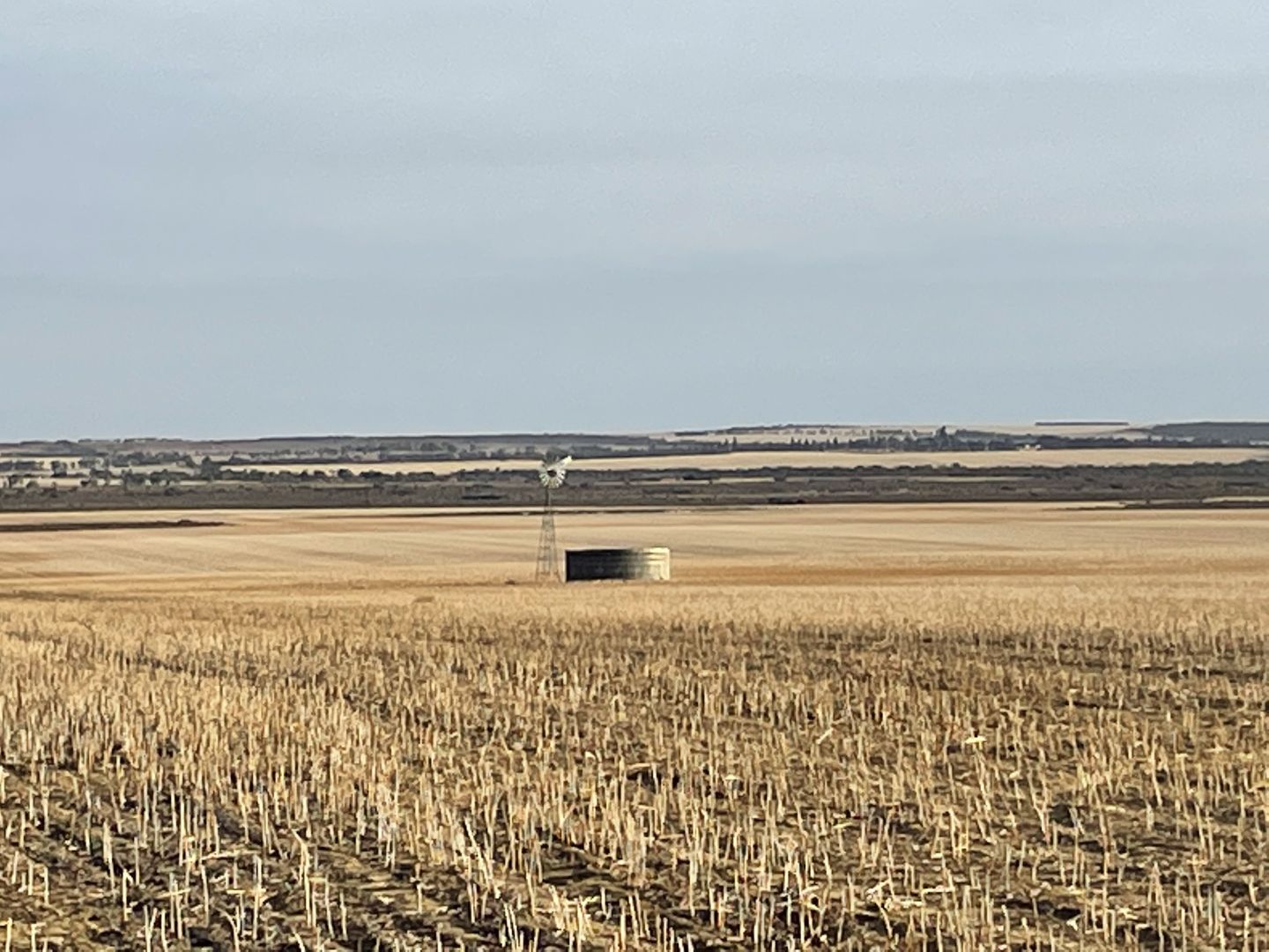 Wongan Hills WA 6603 House for Sale Domain