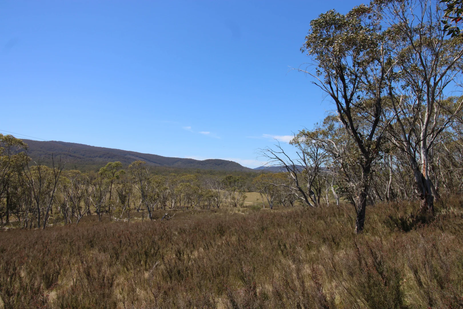 Image 15