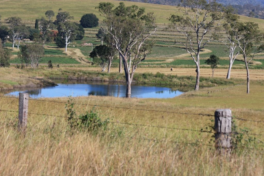 TANSEY QLD 4601, Image 1