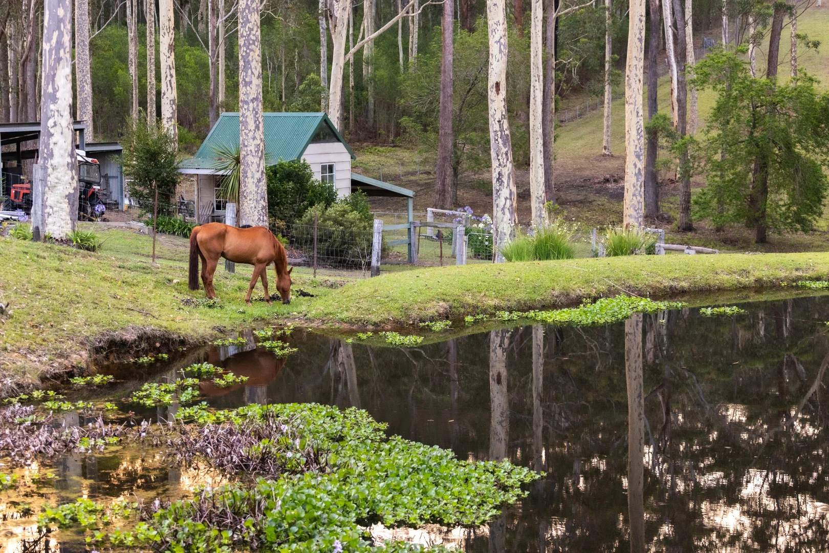 Additional image 28 of 82 Jack Reid Road, Termeil NSW 2539
