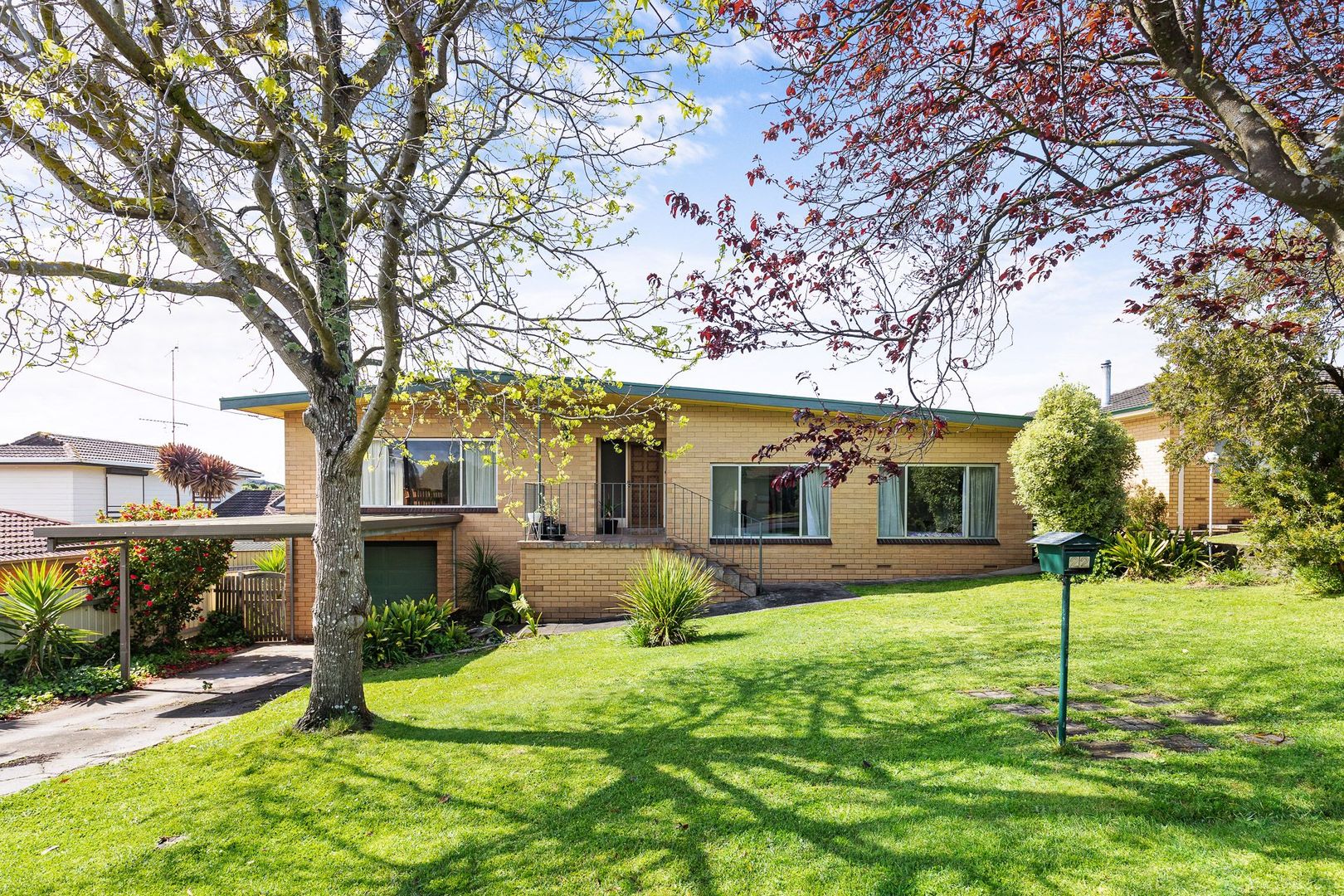 22 Davison Street Mount Gambier Sa 5290 Domain