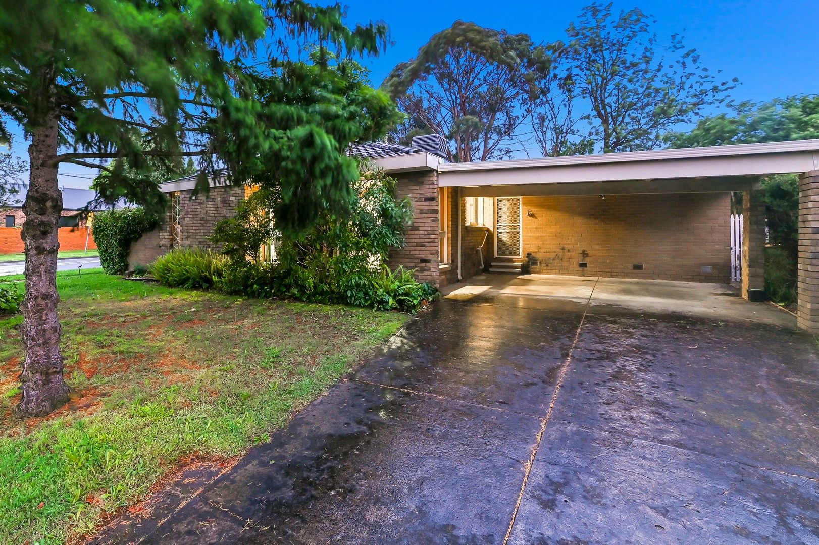 38 Cootamundra Drive, Wheelers Hill VIC 3150 House For Rent 650