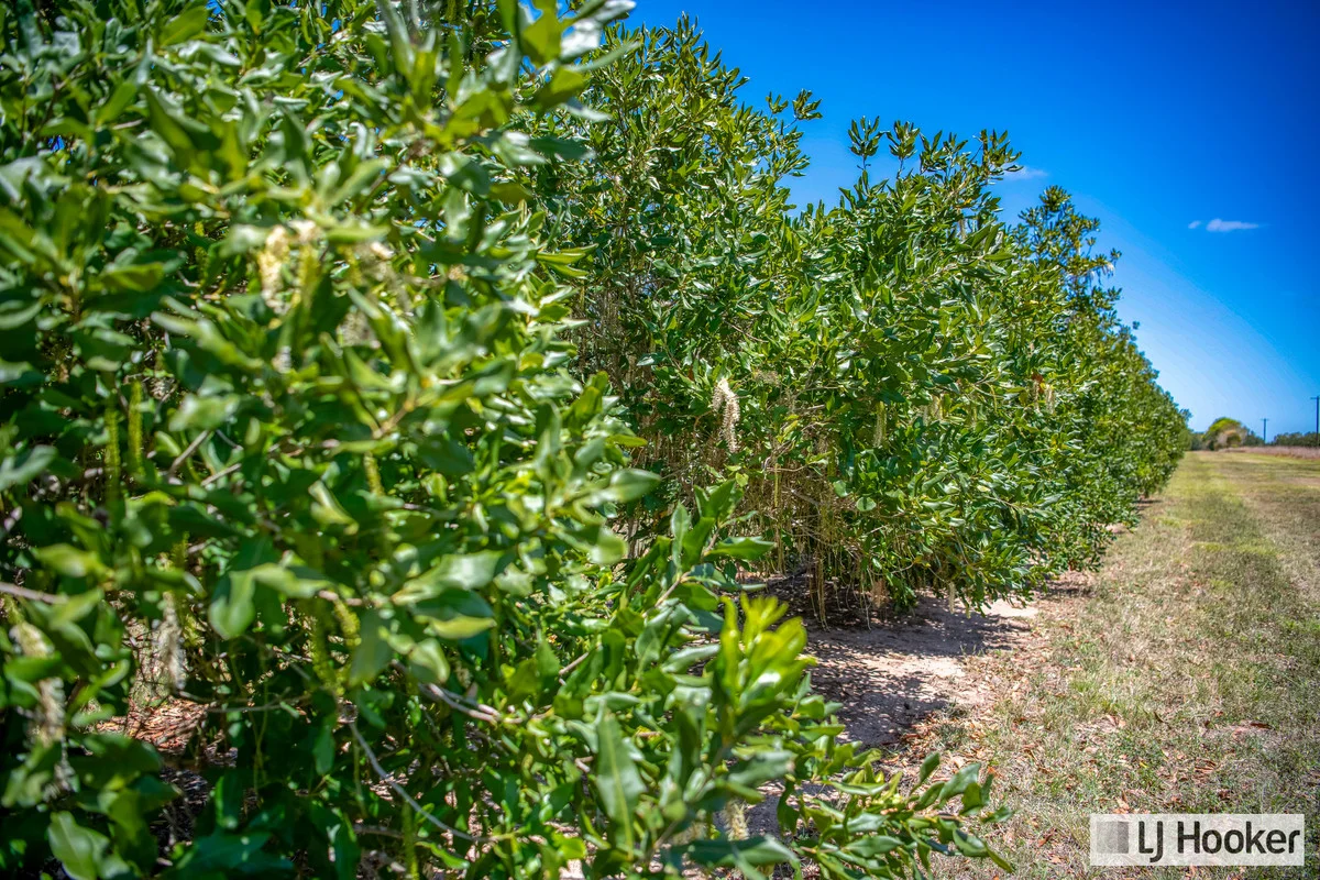 Additional image 20 of Meadowvale QLD 4670