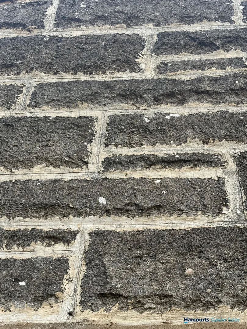 Image 23