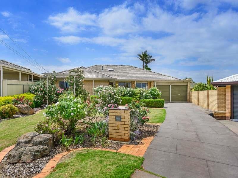 8 Knight Avenue, Windsor Gardens SA 5087, Image 0