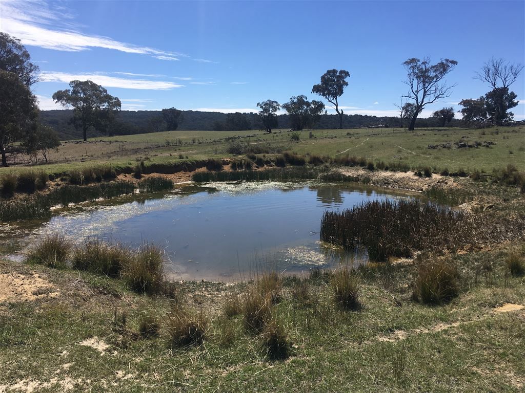 Lot 3/60 Beechworth Road Hargraves, Mudgee NSW 2850, Image 0