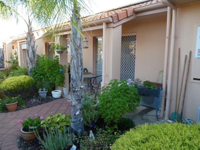 Unit 34, 800 Lower North East Rd, DERNANCOURT SA 5075, Image 0