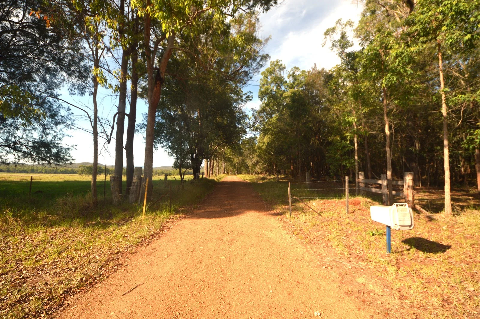 Image 12