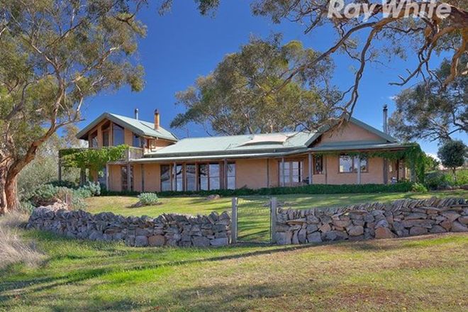 Picture of 49 Ressom Lane, BEECHWORTH VIC 3747