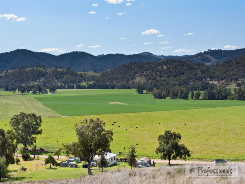 Back Woolomin Road, Dungowan NSW 2340, Image 1